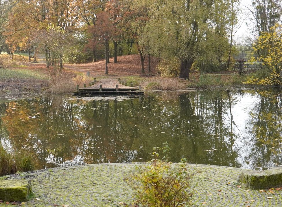 Der große Teich im Herbst 2025.